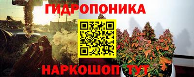 сатива Краснознаменск