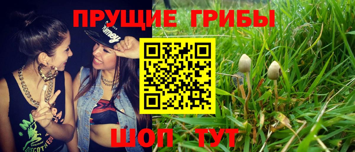 Азов  Псилоцибиновые грибы MAGIC MUSHROOMS  Вход с VPN 