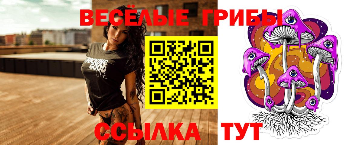 Галлюциногенные грибы прущие грибы Азов